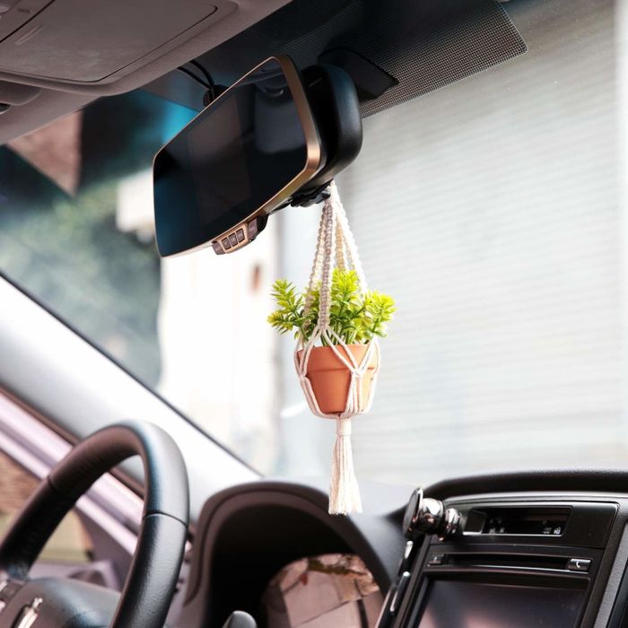 A plant hanging from the rearview mirror of a car.