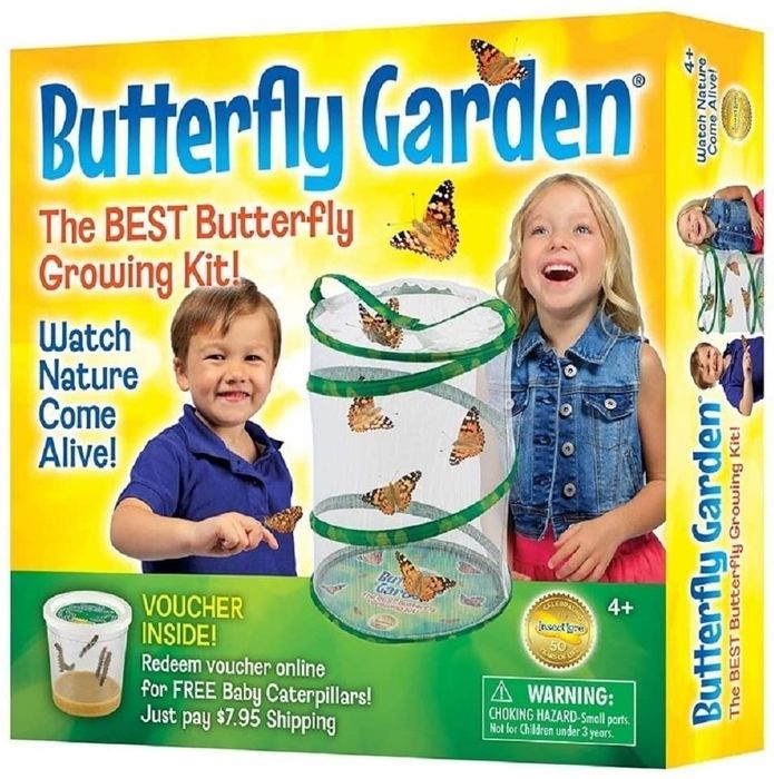 A butterfly growth kit that teaches kids how caterpillars evolve into butterflies