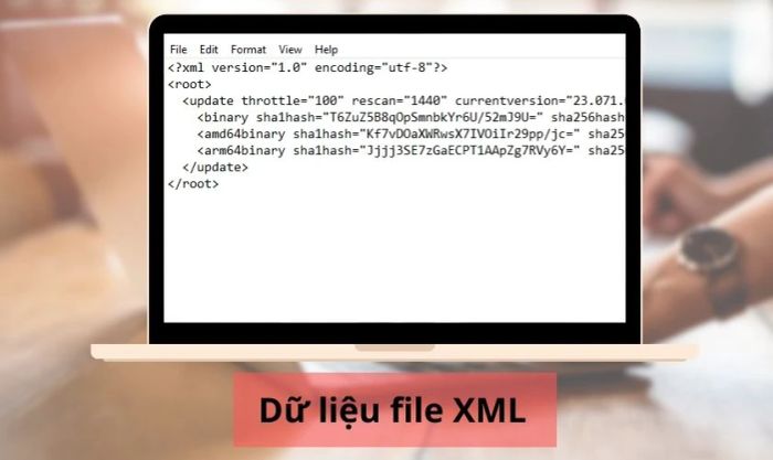 Lý do nên chuyển đổi từ file XML sang PDF