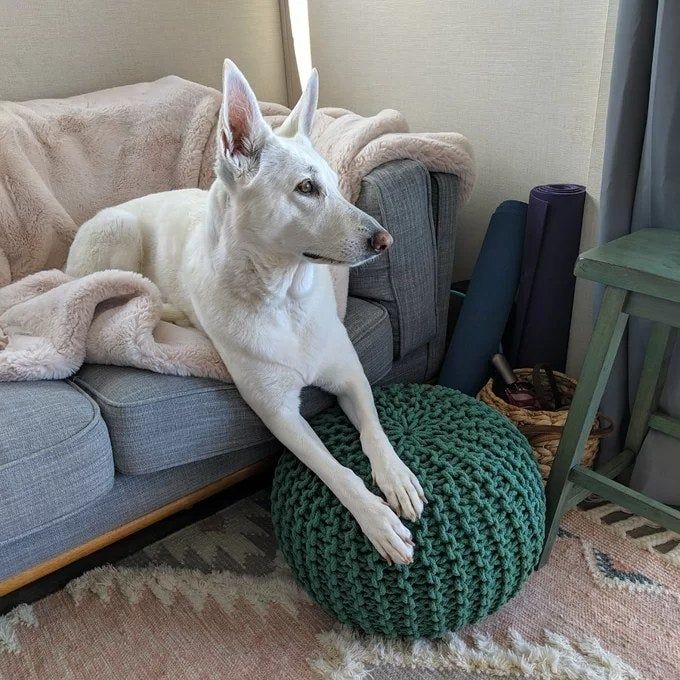 A reviewer’s photo of the ottoman in Green Cotton.