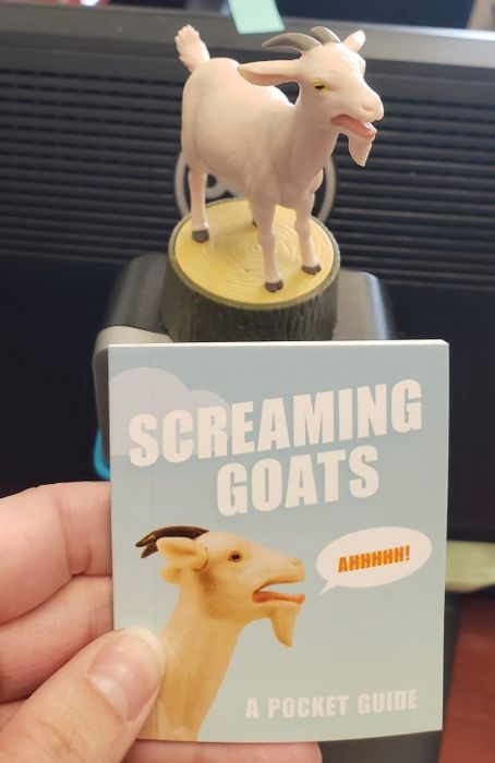 a toy goat that screams and a handy pocket-sized guide