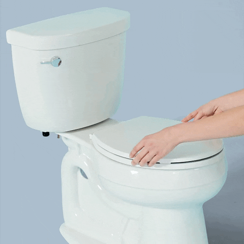 Gif showing the Tushy bidet being set up and spraying water