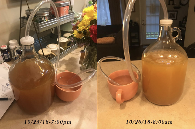 Before and after shots of a reviewer making their own hard cider.