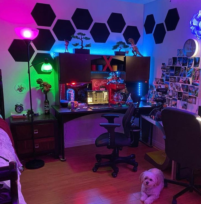 A gaming setup featuring black acoustic panels mounted on the wall.