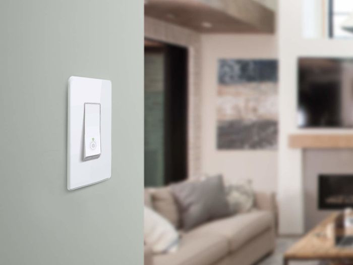 The Kasa Smart Light Switch.