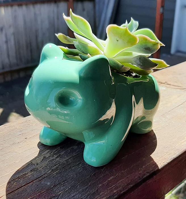 The Bulbasaur planter containing a succulent plant.
