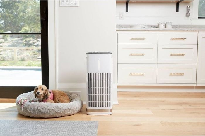 A dog lounges next to an air purifier, enjoying the fresh, clean air.