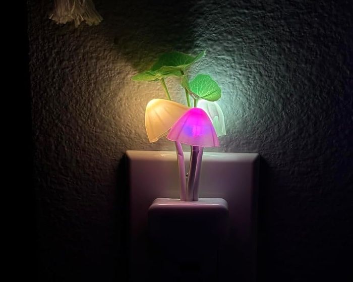 Night light review photo