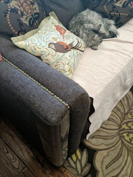 A reviewer's photo demonstrating how the clear protector seamlessly blends into the leg of a couch.