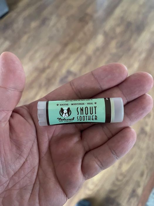 A hand holding a tube of Natural Dog Company Snout Soother, a skincare solution for dogs.