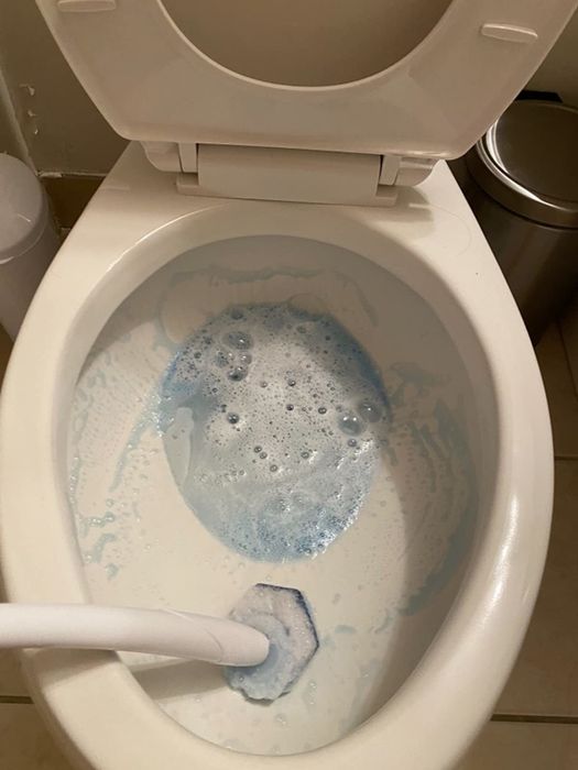 Image of a reviewer cleaning a toilet bowl with a brush