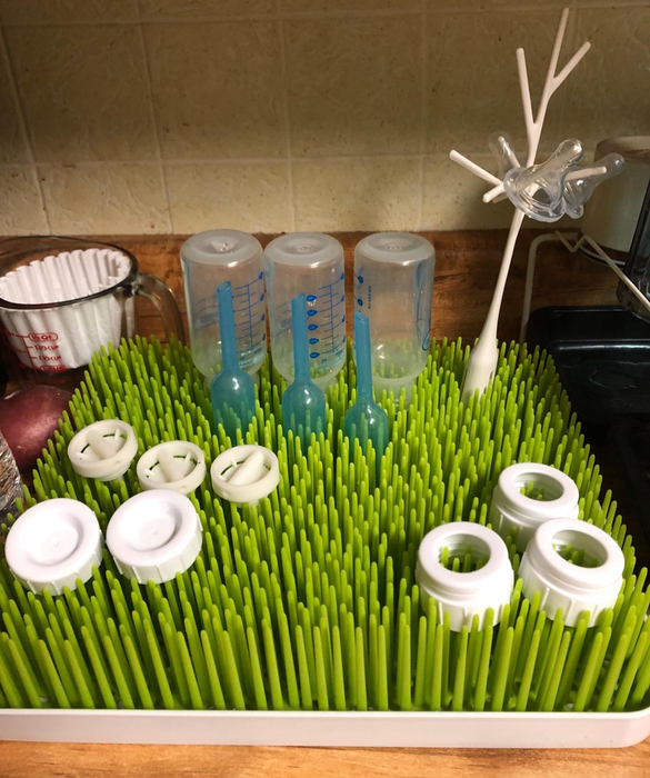Baby bottles and pacifiers drying on a plastic grass rack with a tree design