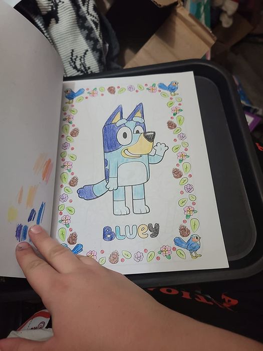 A reviewer's completed Bluey coloring page