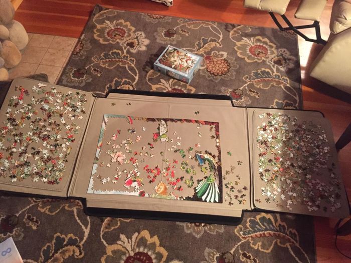 Reviewer photo showing a puzzle set up on the board