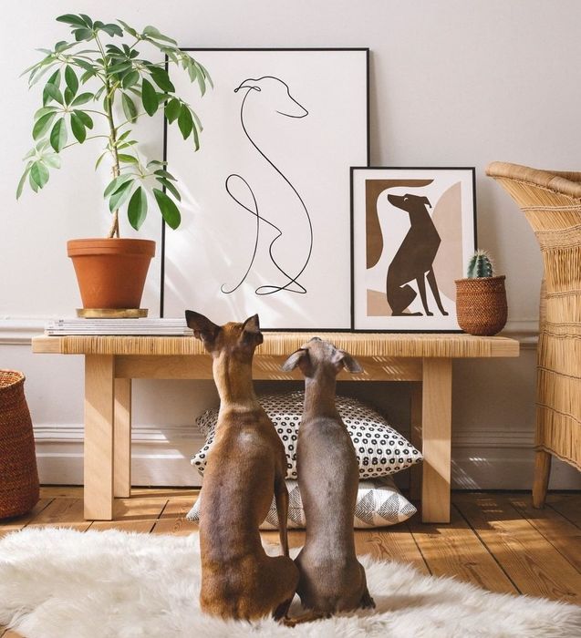 Image of two dogs gazing up at an illustration