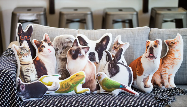 a collection of custom pet-themed pillows