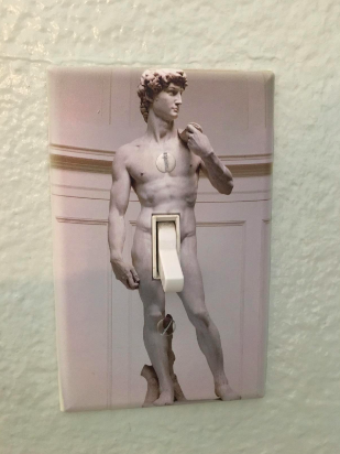 Image of a standard light switch with a plate cover designed to resemble David's iconic pose, adding a humorous twist