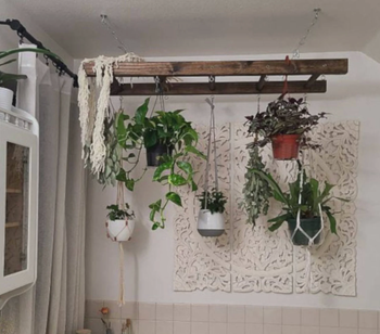 The ladder positioned over a bathtub, featuring several potted plants hanging from it