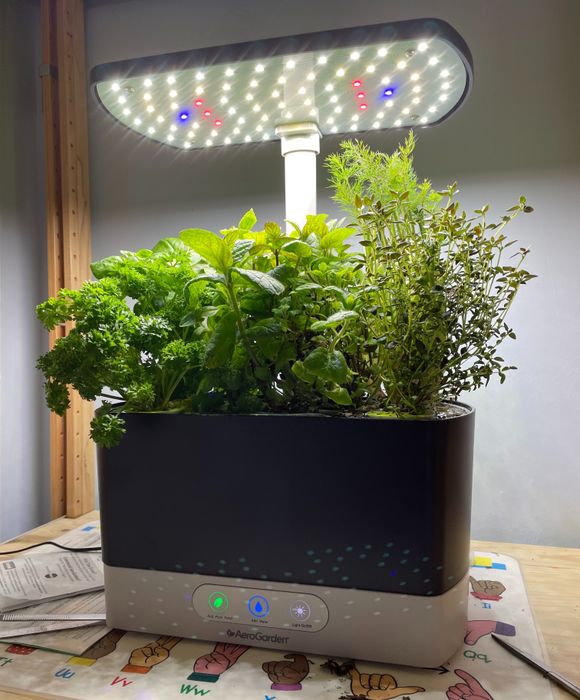 A reviewer’s photo of the indoor herb garden