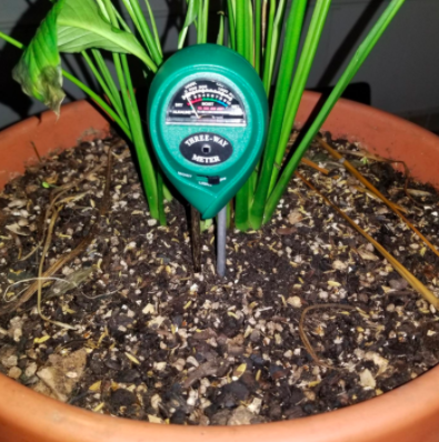The moisture meter in a potted plant