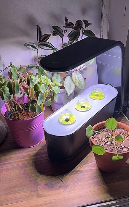An image from a reviewer showing the AeroGarden fully set up and ready to grow