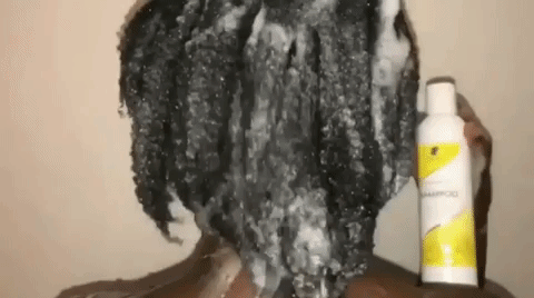 GIF showing a hand carefully detangling type four hair with avocado-infused shampoo applied.