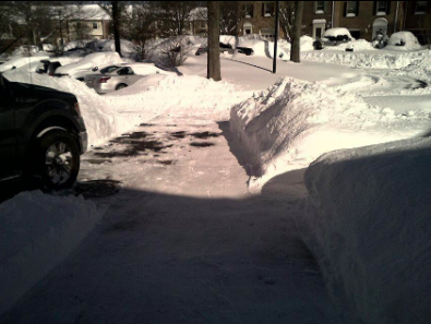 A snowy front yard with a neatly cleared pathway.