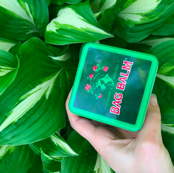 holding the Bag Balm tin in hand