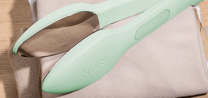 A light green travel iron and steamer.