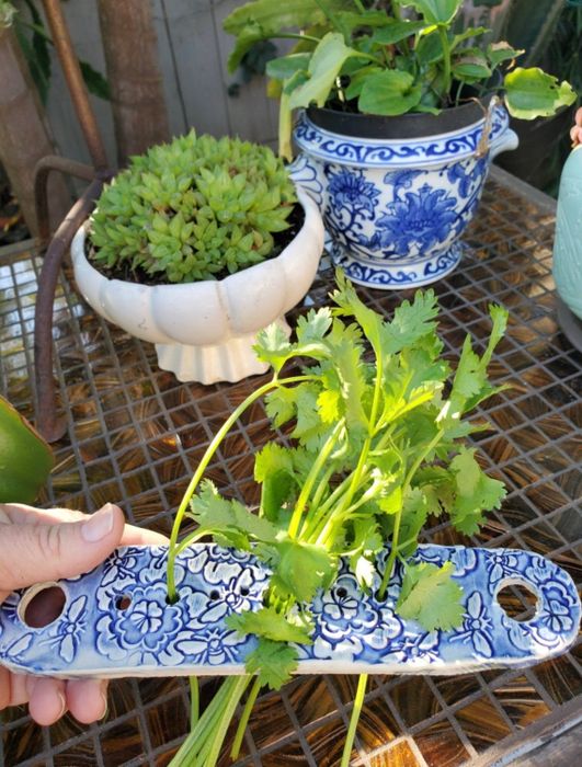 Blue and white tile design herb stripper