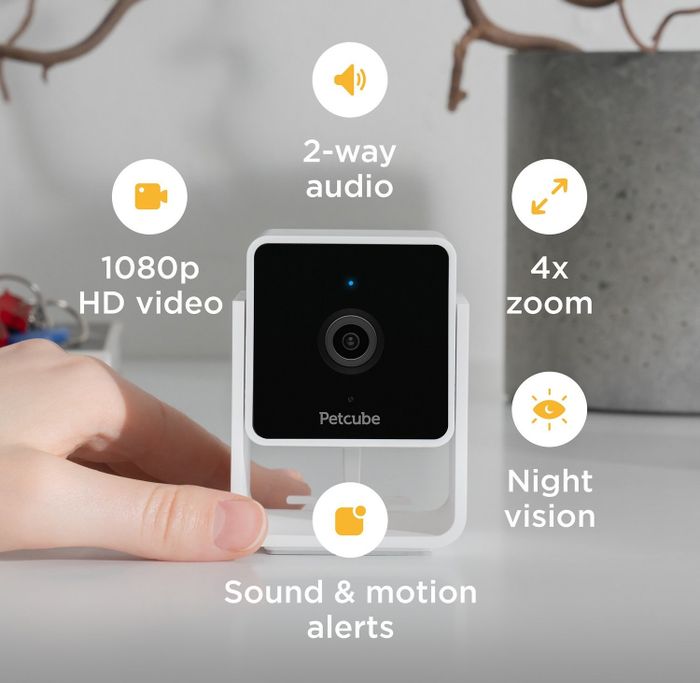 The pet camera actively in use.