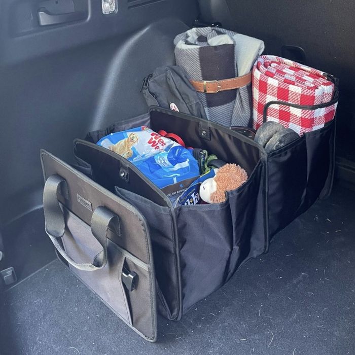 A Calpak Car Organizer with just a few items neatly packed inside.