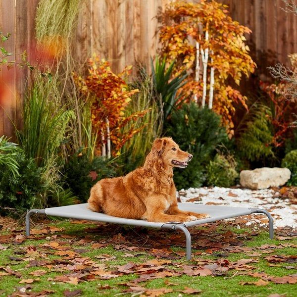 A golden retriever relaxing on a metallic grey tee bed