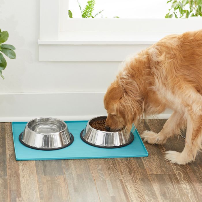 A dog enjoying kibble from a bowl placed on a teal mat
