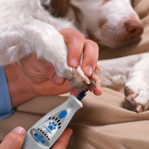 A person using the grinder on a dog's nails