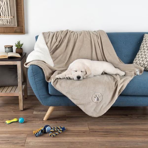 A white puppy resting on a tan blanket covering a sofa