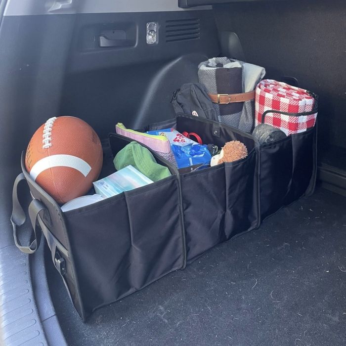 A Calpak Car Organizer fully stocked and ready for anything.
