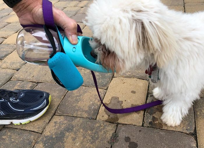 A reviewer's photo of using the bottle's built-in bowl to give their dog water during a walk.