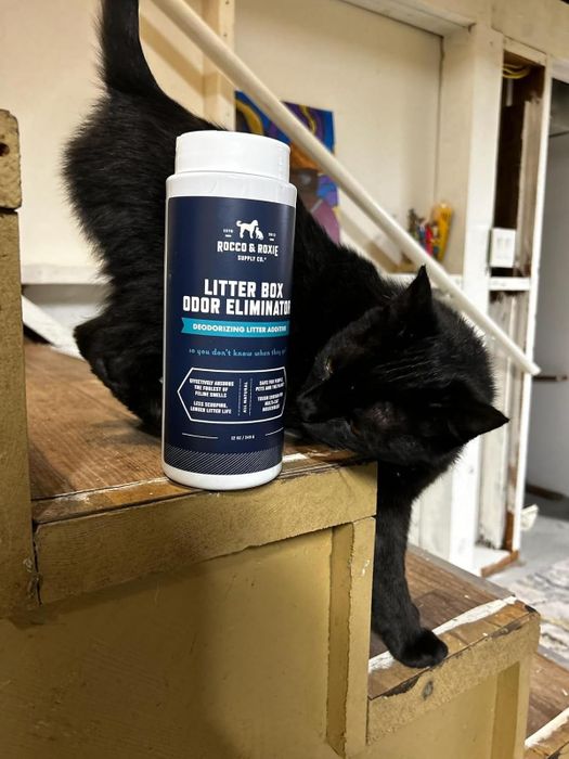 A black cat near a set of stairs beside a container of Rocco & Roxie litter box odor eliminator