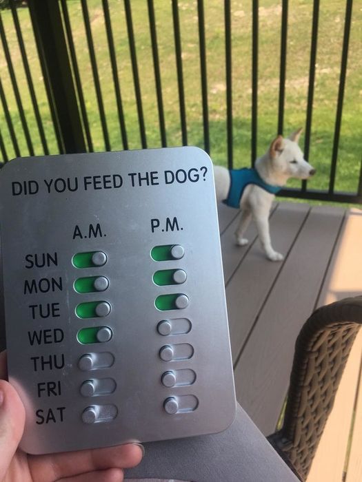 The sign, with little levers you push to green in the morning and evening when you feed your dog