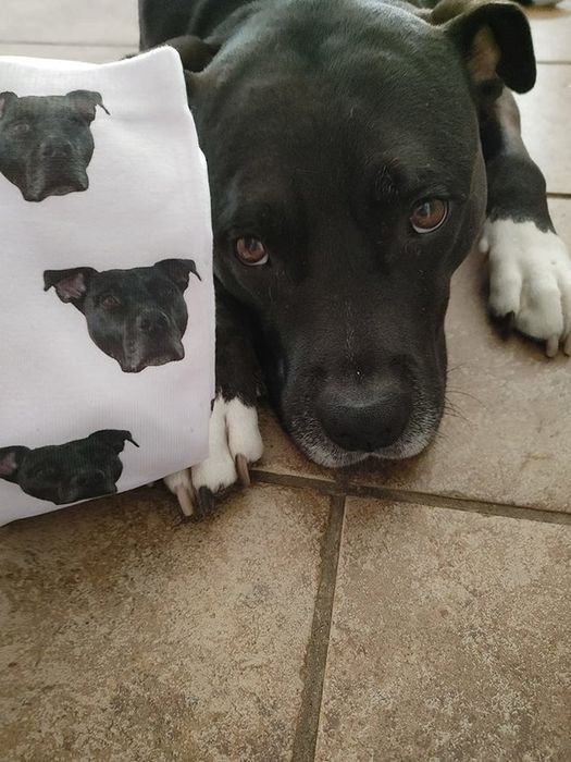 A reviewer’s dog depicted on custom white socks with its face on them