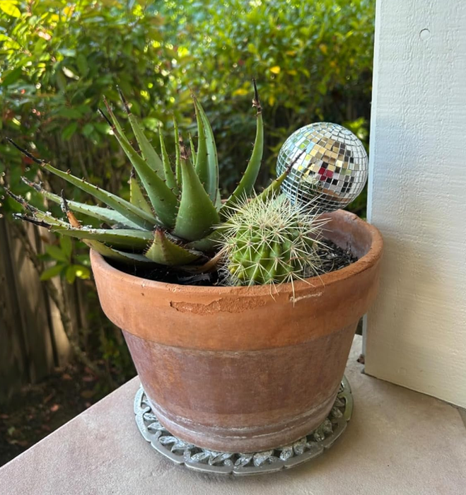 A potted cactus and aloe with a small disco ball, resting on a patio