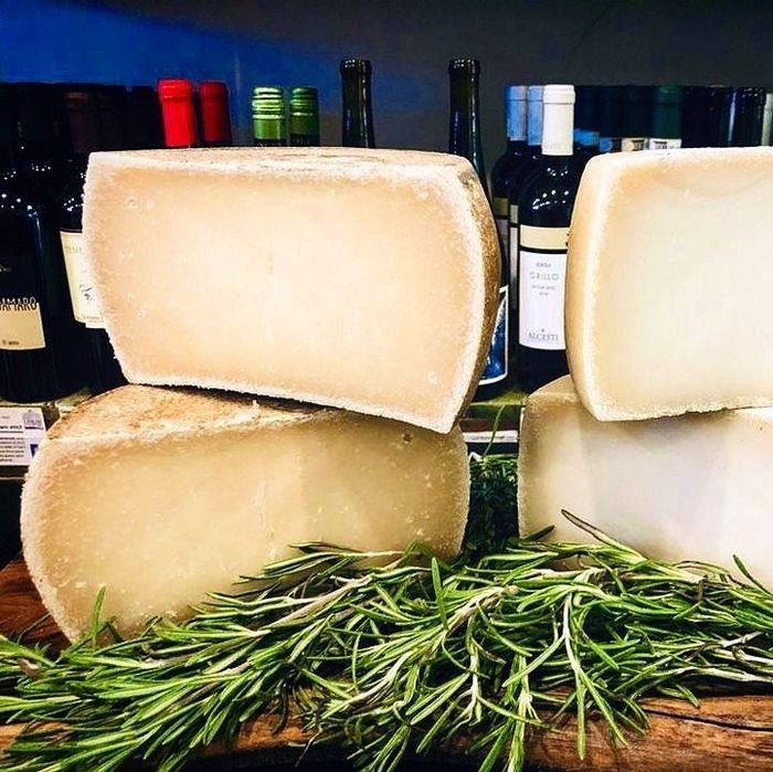 Four sizable half wheels of soft white cheese.