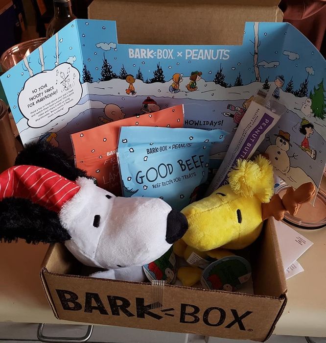 A reviewer shows an open BarkBox filled with two plush dog toys and bags of tasty treats.