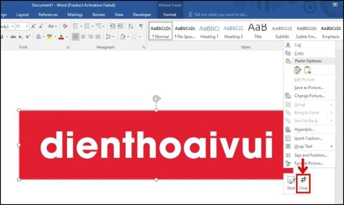 Cách cắt ảnh trong Word nhanh chóng và đơn giản nhất