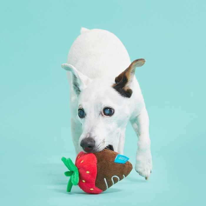 The chocolate-covered strawberry chew toy.