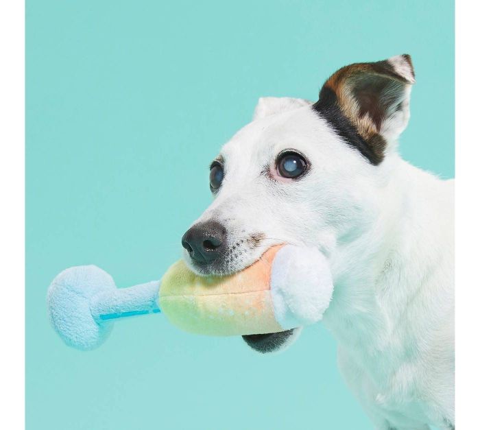 The champagne glass chew toy.