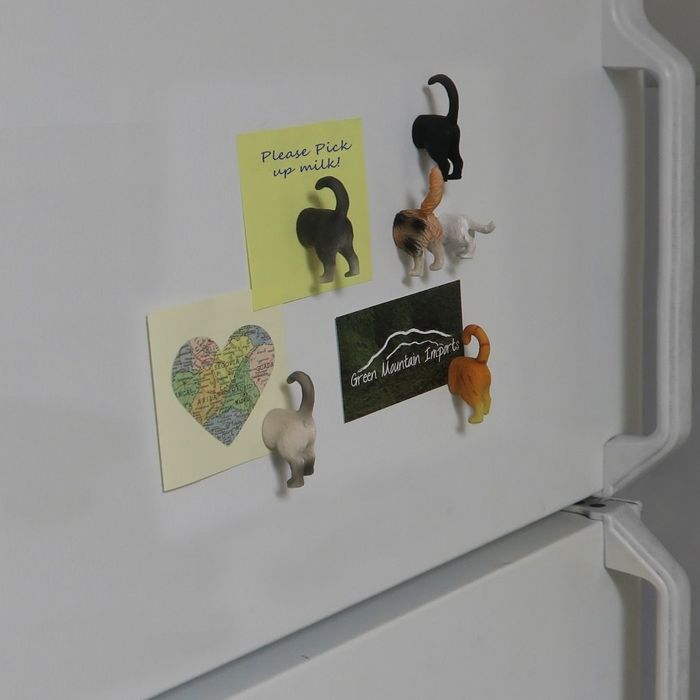 Six cat butt magnets placed on a white refrigerator, adding a playful touch to the kitchen.