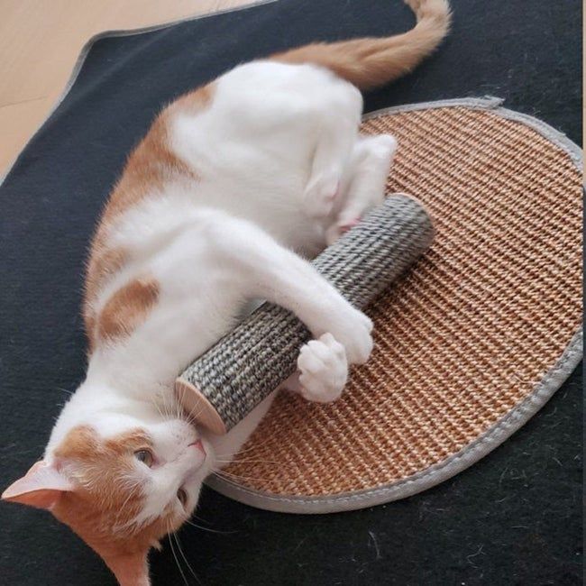 A cat kicking a gray sisal-covered tube in playful frustration.
