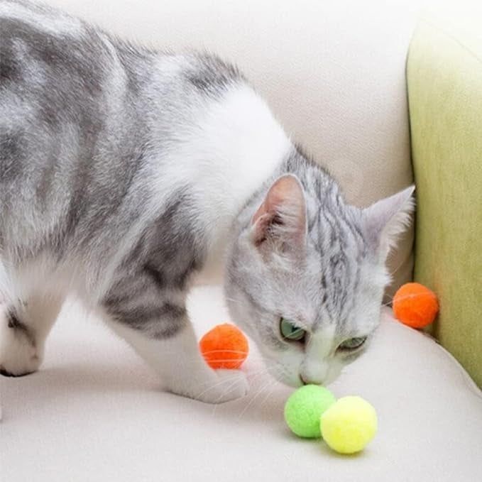 A cat sniffing a set of colorful pom-pom balls